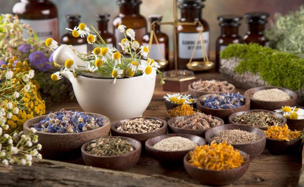 Preservación de la medicina tradicional en comunidades indígenas salvadoreñas-1