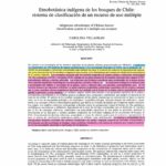 Transmisión de la medicina tradicional indígena: métodos y prácticas